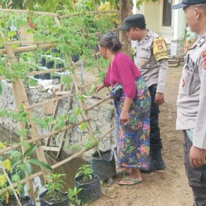 Lahan Pekarangan di Sekotong Jadi Contoh Ketahanan Pangan Lokal