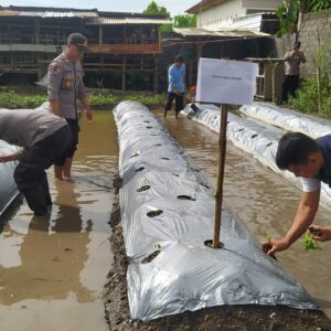 Bersama Kelompok Tani, Desa Jagarga Indah Dukung Ketahanan Pangan Bergizi