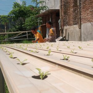 Bhabinkamtibmas Polsek Rasanae Barat Tinjau Perkembangan Tanaman Hidroponik di Kelurahan Monggonao
