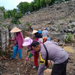 Keseriusan Polres Bima Kota dalam Menjaga Ketahanan Pangan