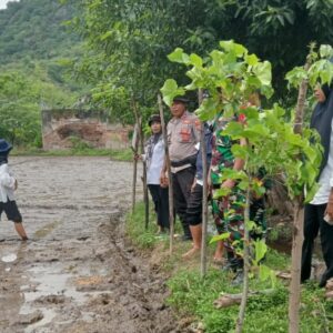 Polsek Wera Optimalisasi Program Ketahanan Pangan dengan Pengecekan Pekarangan Pangan Bergizi