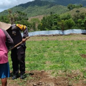 Bhabinkamtibmas Polsek Lambu Pantau Lahan Pangan Bergizi untuk Dukung Ketahanan Pangan Nasional