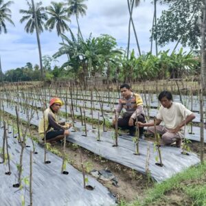 Bhabinkamtibmas Polsek Lambu Dukung Optimalisasi Lahan untuk Ketahanan Pangan Nasional