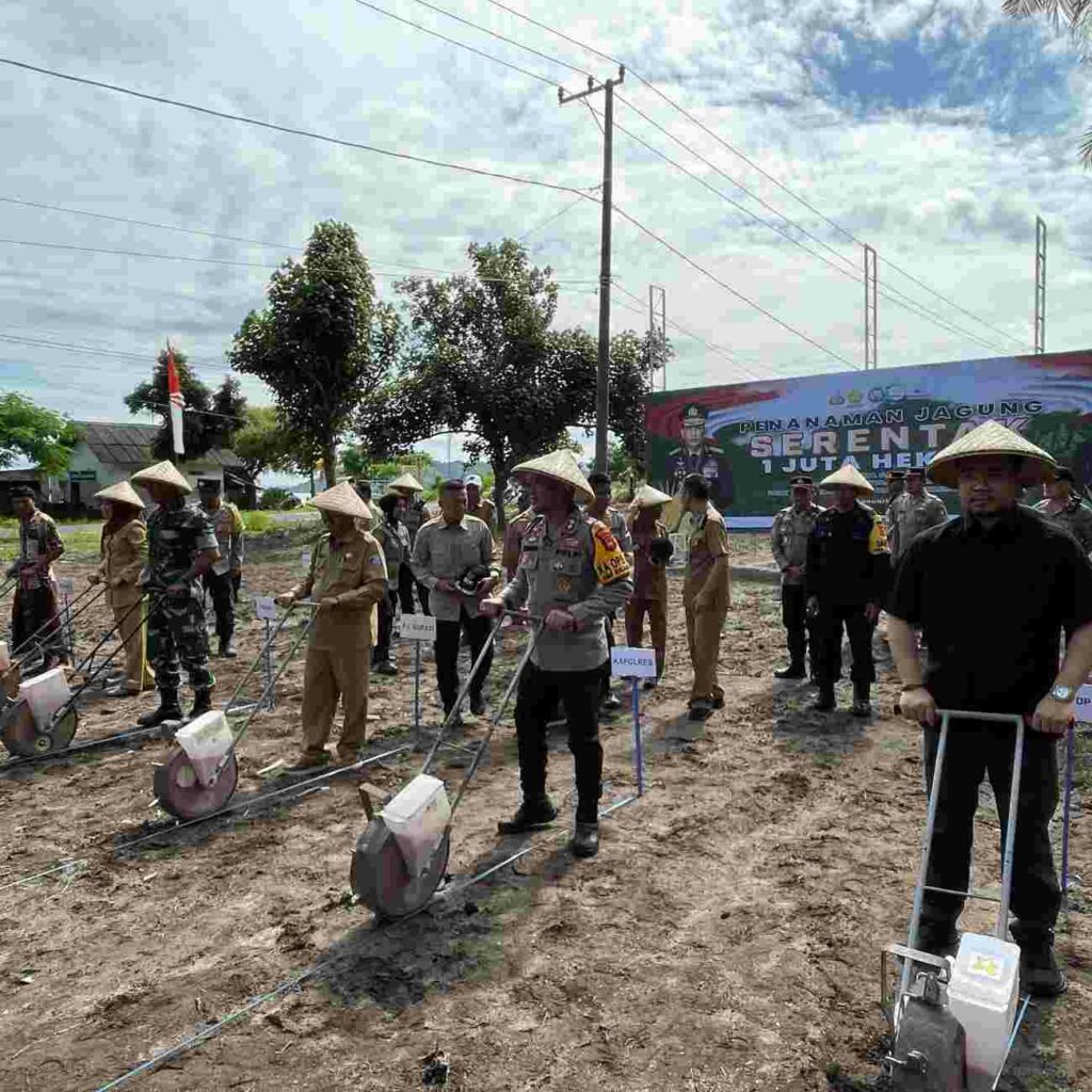 Sinergi Polri-Petani, Lombok Barat Jadi Lokomotif Swasembada Jagung 2025
