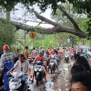 Dengan Sigap Anggota Polsek Pemenang Evakuasi Pohon Tumbang di Wilayah Hukumnyac