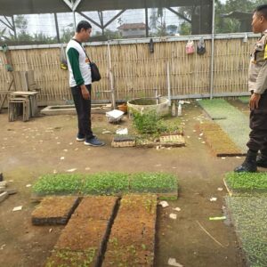 Lombok Barat: Bhabinkamtibmas Edukasi Warga Pentingnya Pekarangan untuk Ketahanan Pangan Keluarga