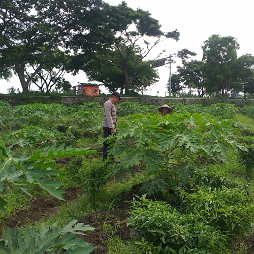 Kolaborasi Polri & Petani, Wujudkan Ketahanan Pangan di Lombok Barat