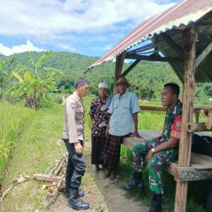 Sinergi Polisi & Petani: Harga Gabah Aman, Panen Tenang!