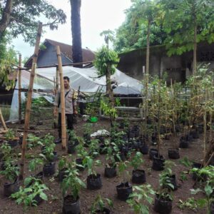 P2B di Desa Bengkel: Polisi Apresiasi Warga yang Rajin Berkebun