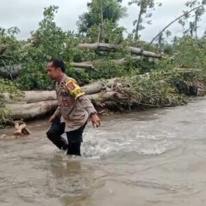 Polri Bersama Tim Gabungan Lanjutkan Pencarian Hari Kedua Korban Banjir Bandang di Wera Bima