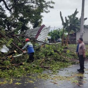 *Respon Cepat Polsek Kayangan Evakuasi Korban dan Pohon Tumbang *