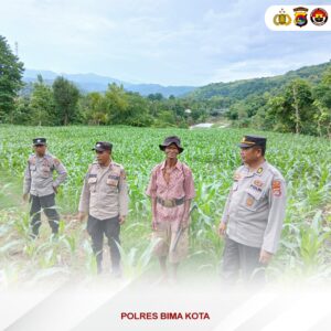 Dukung Ketahanan Pangan Nasional, Sat Binmas Polres Bima Kota Pantau Lahan Pertanian Warga