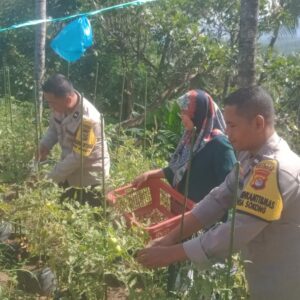 Polsek Tanjung Siap Sambut Lounching Program Ketahanan Pangan Lestari