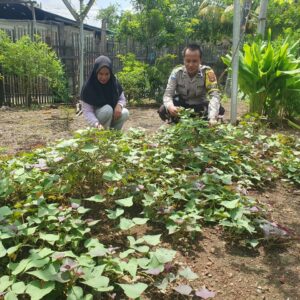 Dukung Ketahanan Pangan, Bhabinkamtibmas Polsek Asakota Monitoring Lahan Pekarangan Bergizi Milik Warga