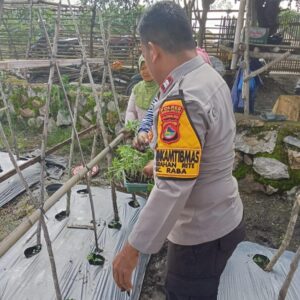 Bhabinkamtibmas Kelurahan Rite Dampingi Pengelolaan Pekarangan Pangan Bergizi