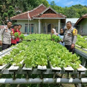 Dukung Ketahanan Pangan, Kasat Binmas Polres Bima Kota Pantau Lahan Pangan Bergizi Warga