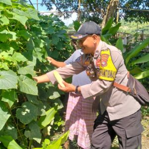 Bhabinkamtibmas Kelurahan Sambinae Laksanakan Pengecekan Pekarangan Pangan Bergizi (P2B)