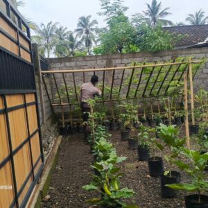 Ketahanan Pangan: Polsek Kuripan Gencar Sosialisasi Berkebun di Pekarangan
