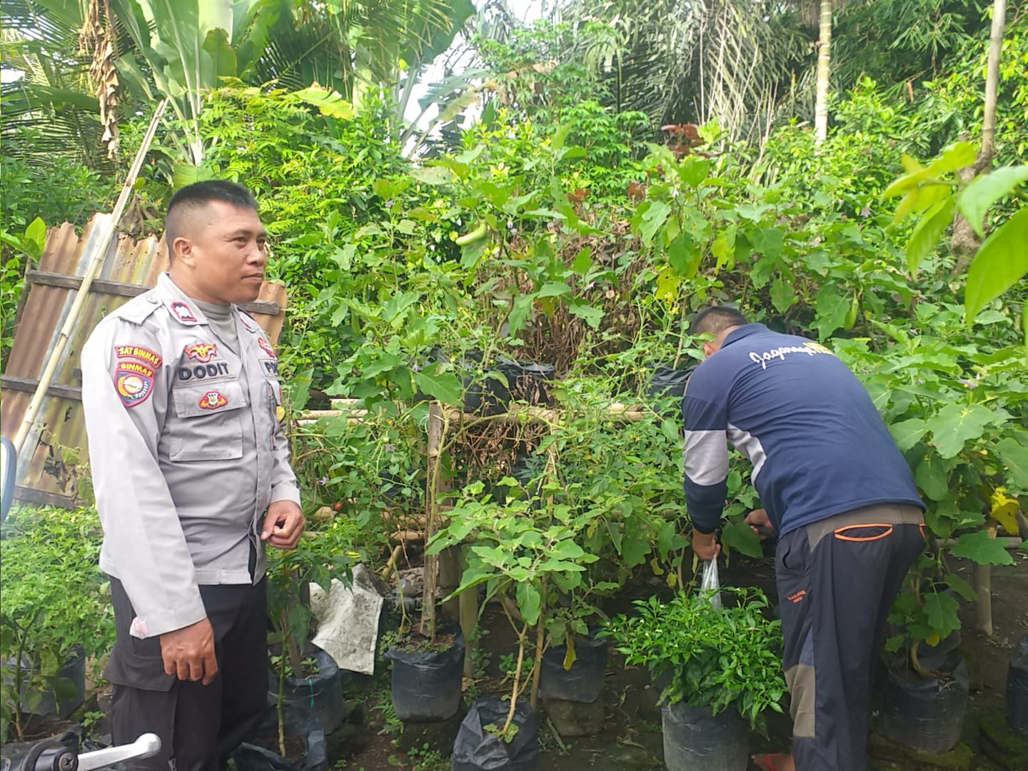 Polsek Kuripan Turun ke Lapangan, Gerakkan Warga Wujudkan Ketahanan Pangan