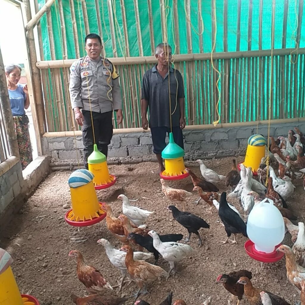 Kunjungi Peternak Ayam, Bhabinkamtibmas Desa Jagaraga Sosialisasikan Ketahanan Pangan