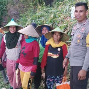 Bhabinkamtibmas Desa Rai Oi Bantu Warga Panen Jagung dalam Rangka Ketahanan Pangan Nasional