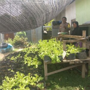 Bhabinkamtibmas Laksanakan Pengecekan Lahan Pekarangan Ketahanan Pangan Nasional