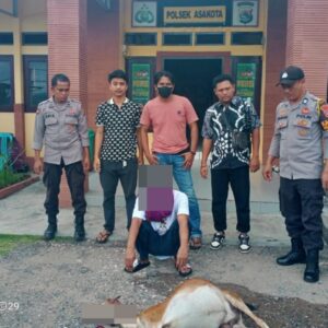 Gorok Kambing Masuk Halaman Rumah, Pria Ini Masuk Sel Polsek Asakota