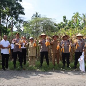 Kapolres Bersama Dinas Pertanian Panen Hasil Ketahanan Pangan