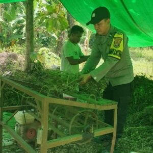 Bhabinkamtibmas Kelurahan Jatibaru Timur Bantu Warga Panen Kacang Tanah dalam Rangka Dukung Ketahanan Pangan Nasional