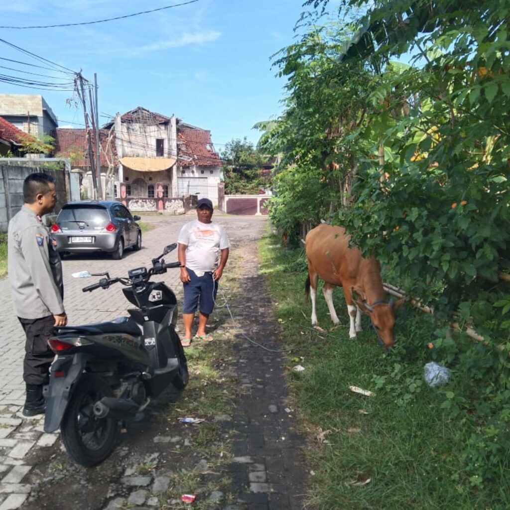Pemanfaatan Pekarangan Rumah Dorong Ketahanan Pangan Mandiri