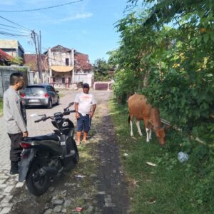 Pemanfaatan Pekarangan Rumah Dorong Ketahanan Pangan Mandiri