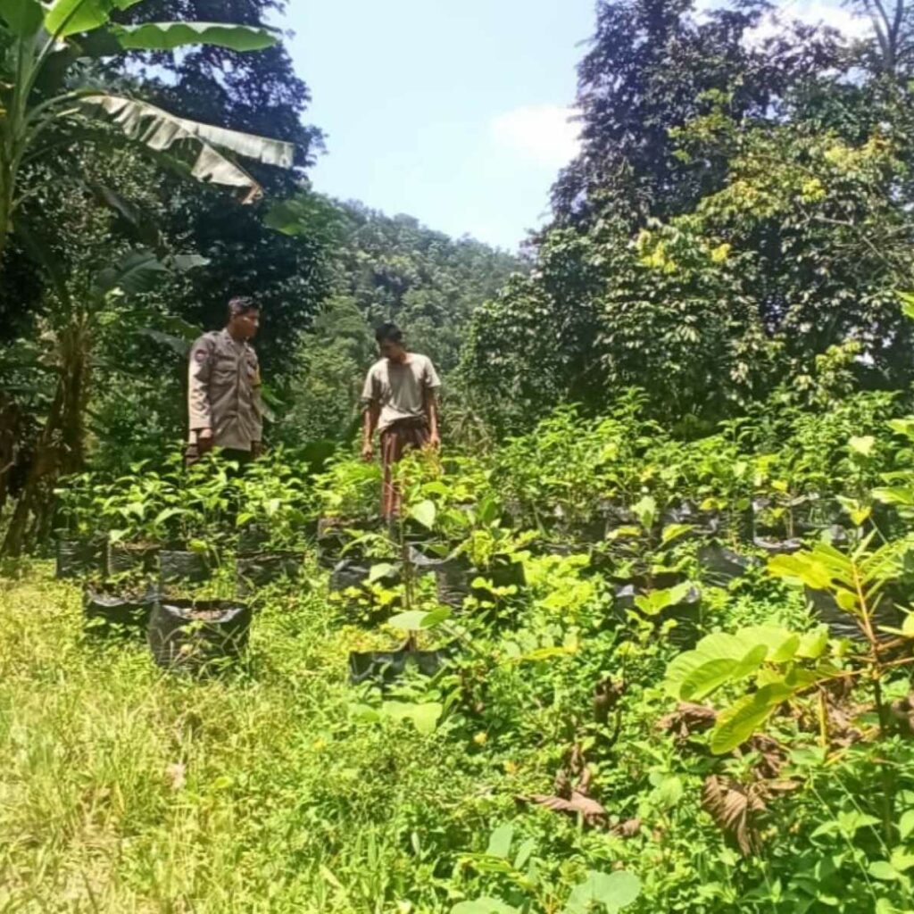 Polsek Batulayar Aktif Dampingi Ketahanan Pangan Keluarga