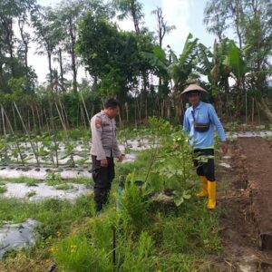 Polsek Kuripan Sosialisasikan Pemanfaatan Lahan untuk Ketahanan Pangan