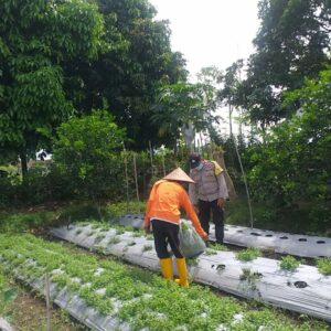 Warga Jagaraga Semangat Tanam, Berkat Dorongan Polisi