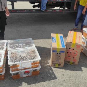 Truk Bermuatan Burung Tanpa Izin Dicegat Menuju Bali di Lombok Barat