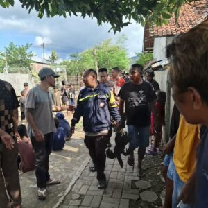 Gerebek Judi Sabung Ayam, Tim Opsnal Polsek Rasbar Sita 5 Ekor Ayam Aduan