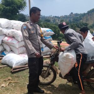 Dukung Ketahanan Pangan, Bhabinkamtibmas Kelurahan Nitu Lakukan Pengecekan Hasil Panen Jagung Petani