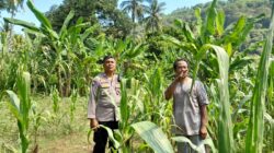 Ketahanan Pangan: Kolaborasi Bhabinkamtibmas dan Warga Desa Senggigi