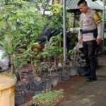 Polsek Labuapi Aktif Kawal Program Pangan Nasional