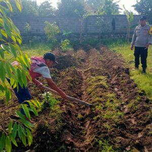 Polsek Labuapi Dukung Program Ketahanan Pangan Melalui Bhabinkamtibmas