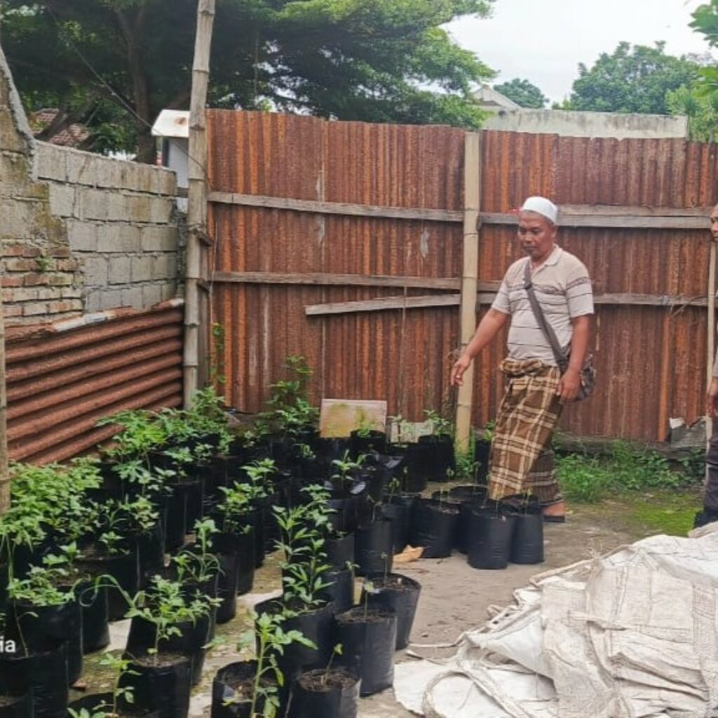 Ketahanan Pangan Nasional Dimulai dari Pekarangan Rumah: Inisiatif Polsek Kuripan