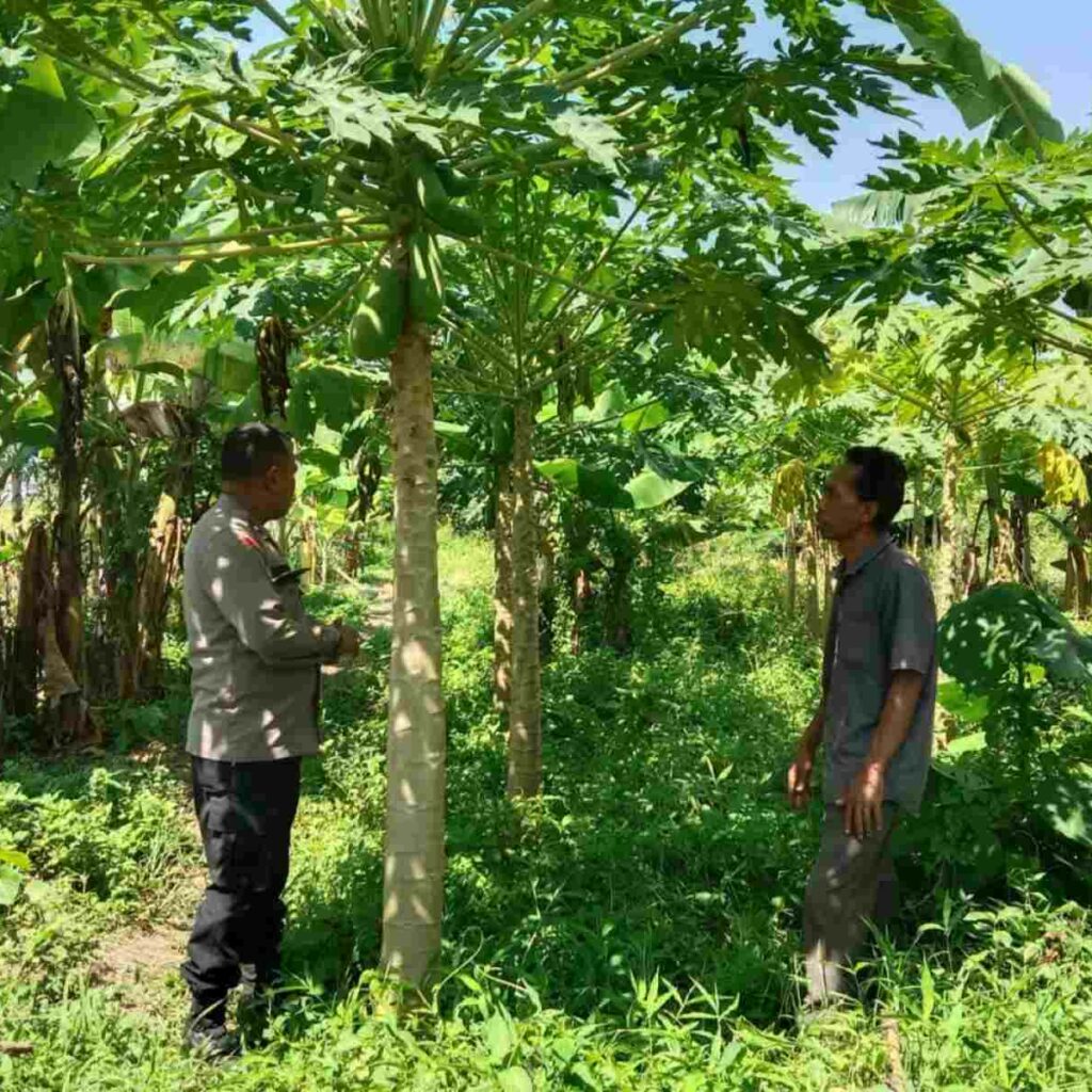 Sinergi Warga dan Polisi Gerakkan Pertanian Rumah Tangga
