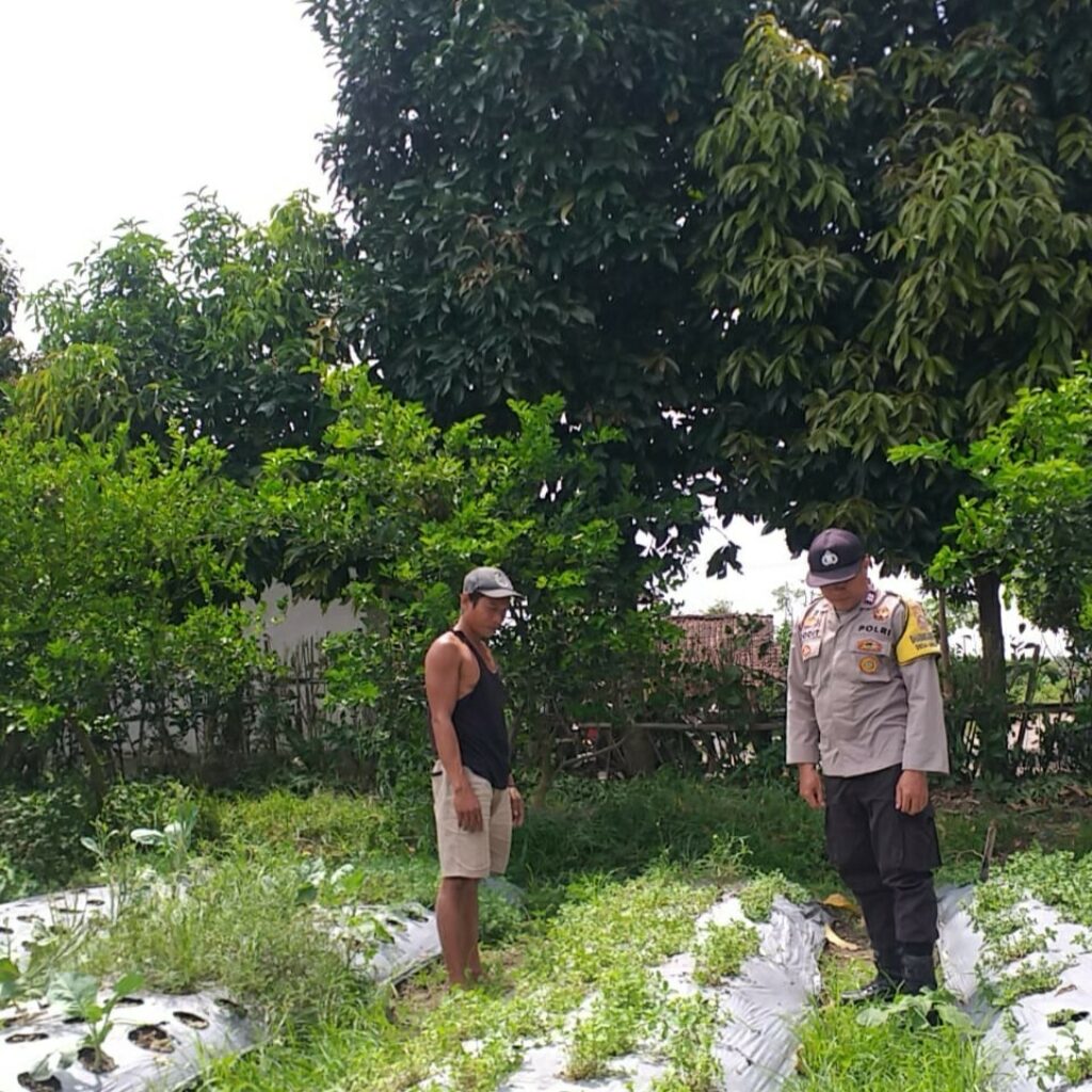 Sinergi Polisi dan Warga Wujudkan Ketahanan Pangan di Lombok Barat