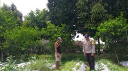 Sinergi Polisi dan Warga Wujudkan Ketahanan Pangan di Lombok Barat
