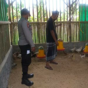 Kunjungan Bhabinkamtibmas di Kuripan Dukung Peternakan Ayam Mandiri