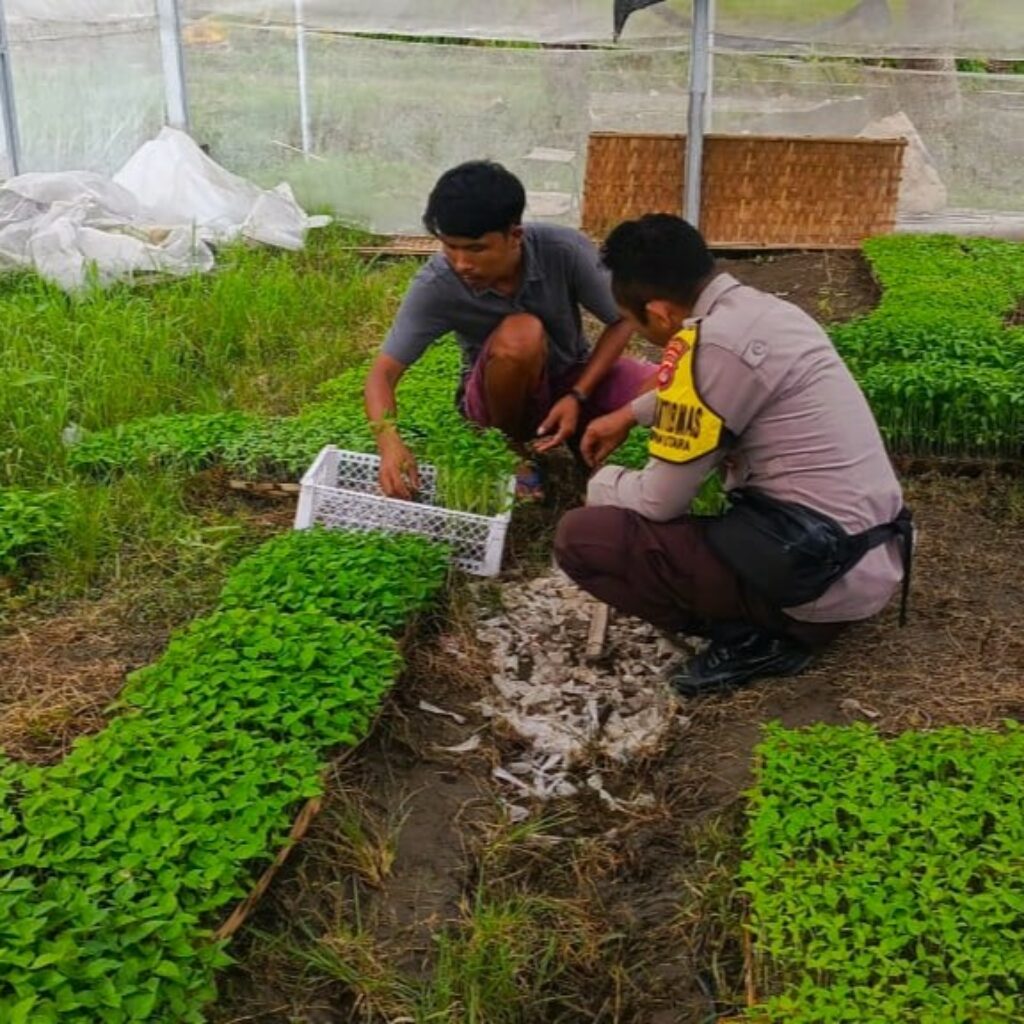 Strategi Polres Lombok Barat Tingkatkan Kemandirian Pangan Masyarakat Desa