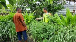 Dukung Ketahanan Pangan, Bhabinkamtibmas Seteluk Atas Pantau Lahan Pangan Bergizi Warga