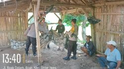 Polsek Sumbawa Tertibkan Gelaran Sabung Ayam di Desa Boak, Warga Kooperatif Membubarkan Diri