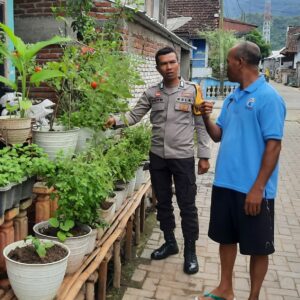 Dukung Ketahanan Pangan, Bhabinkamtibmas Seteluk Atas Dampingi Warga Kelola Pekarangan Bergizi