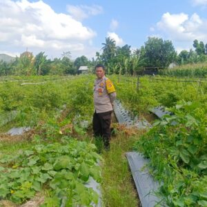 DDS Polsek Gerung Perkuat Ketahanan Pangan Desa Beleka